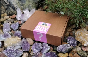 Mystery BOX  (medium)